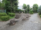 和田堀緑道の現況。水路や植栽を更新する